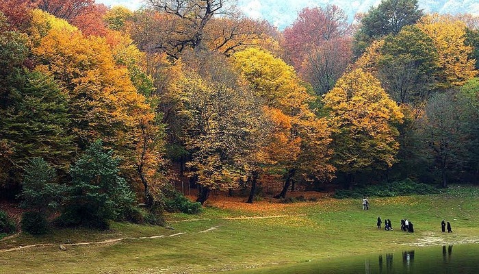 جنگل ناهارخوران گرگان