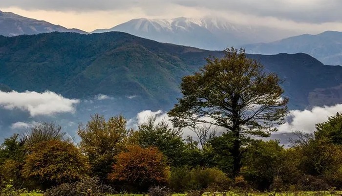 طبیعت زیبای جنگل الیمستان