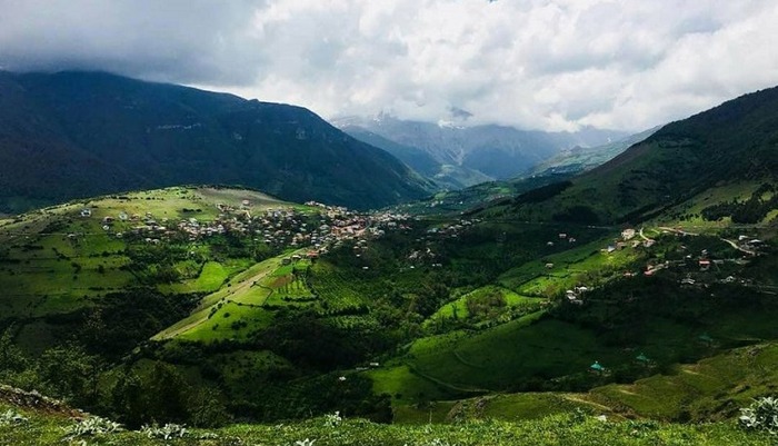جنگل دالخانی رامسر