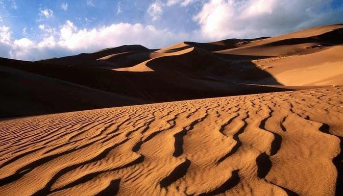 شنزارهای نرم و روان کویر سیازگه
