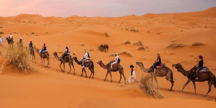 شترسواری در کویر سیازگه