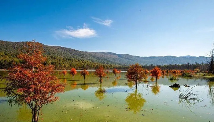 نمایی از طبیعت الندان در پاییز